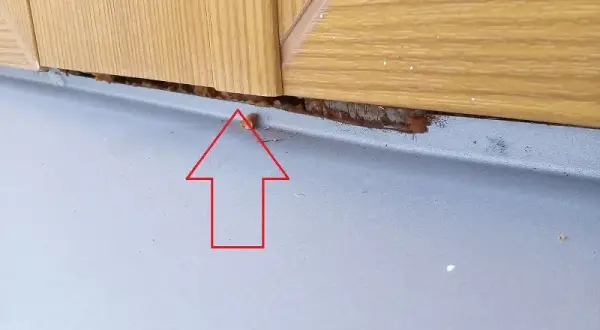 Ile czasu ma deweloper na usunięcie usterki? Sprawdź swoje prawa