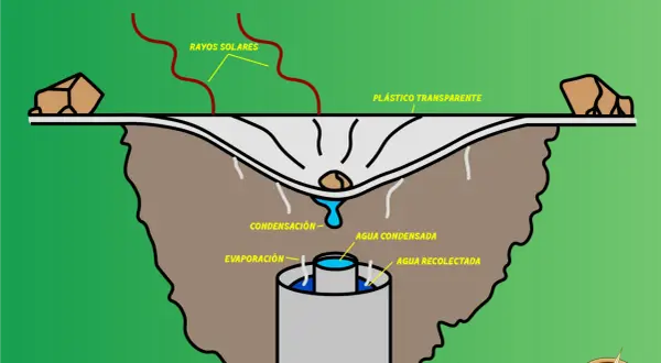 Diagrama de una trampa de condensación para potabilizar agua. Rayos solares calientan la tierra, el agua se evapora, condensa en el plástico y gotea.