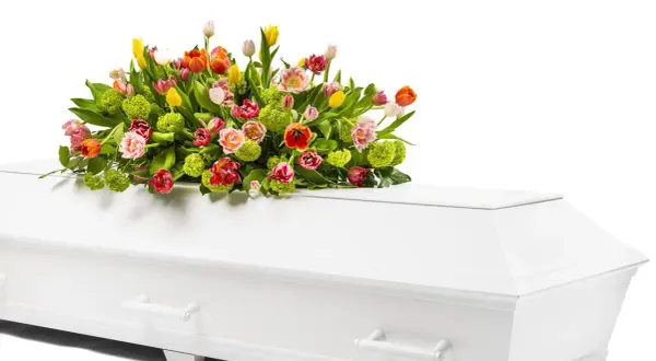 En vit kista med en vacker bukett av färgglada tulpaner och grönt. Vackra blommor till urnbegravning som symboliserar liv och hopp.