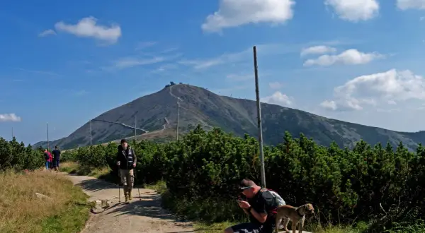 Szlak na Śnieżkę, turyści z kijkami i pies, w tle góra z budynkami.