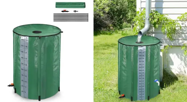 Barril verde para recoger agua de lluvia, con medidor de nivel. Se muestra vacío y recibiendo agua de un canalón.