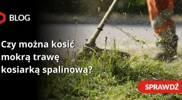 Czy można kosić mokrą trawę kosiarką spalinową? Poradnik