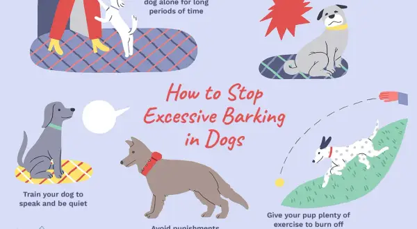 Illustration shows dogs barking and tips to stop it. One dog is barking at a person's legs, another is sitting with a red starburst, and a third is playing fetch.