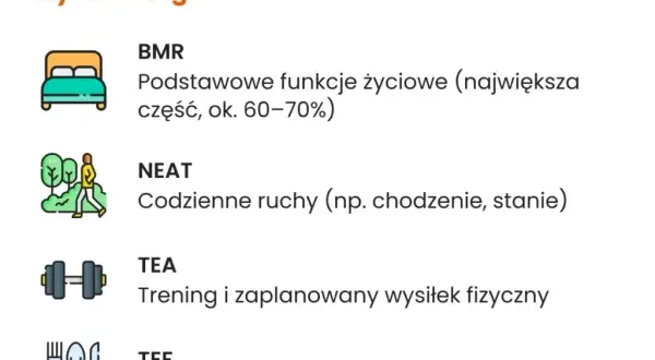 Zrzuć 10 kg: Realny plan ćwiczeń i diety (2,5-5 miesięcy)