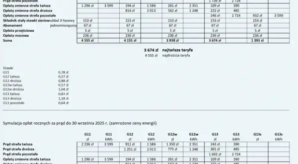 Ile kosztuje 1 kWh w taryfie G11 Tauron? Sprawdź aktualne ceny!