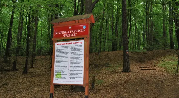 Tablica informacyjna w rezerwacie przyrody "Pazurek" wśród bujnej zieleni lasu.