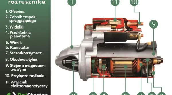 Przekrój rozrusznika ukazuje jego budowę: głowicę, zębnik, widełki, przekładnię planetarną, wirnik, komutator, szczotkotrzymacz, obudowę, stojan z magnesami, przyłącze zasilania i włącznik elektromagnetyczny.