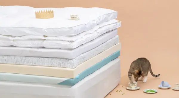 A stack of mattress toppers, showing what mattress toppers are made of: down, memory foam, and latex. A cat plays with peas near teacups.