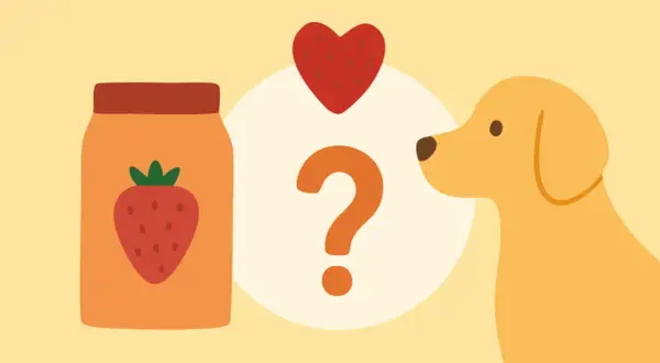 Ein Hund schaut neugierig auf ein Glas Erdbeeren und ein Herz. Kann er sie fressen, ohne Durchfall zu bekommen?
