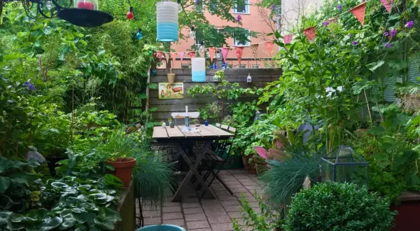 En lummig trädgård med ett bord och stolar. En kruka med hallon syns bland frodig grönska. Färggranna lyktor och girlanger skapar en mysig atmosfär.