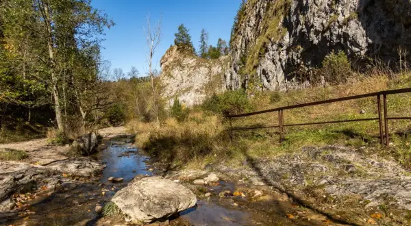 Malowniczy wąwóz Homole. Czas przejścia przez kamienisty strumień i skalne zbocza.