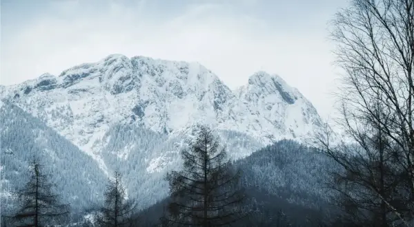 Śnieżne szczyty gór zimą, idealne na pierwsze górskie wędrówki. Drzewa w pierwszym planie dodają głębi.