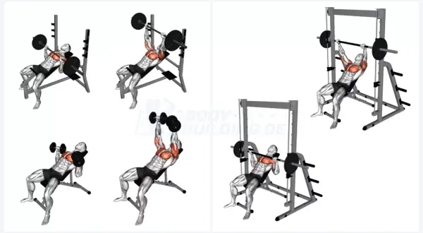 Untere Brust formen: Mein Guide für maximale Definition & Kraft