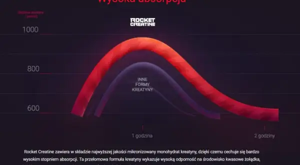 Wykres pokazuje wysoką absorpcję kreatyny. Kiedy brać kreatynę? Rocket Creatine zapewnia 100% wchłaniania.