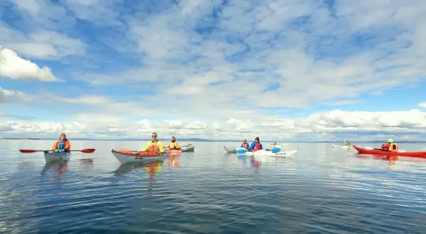 Szwajcarska Riwiera nad Bodensee: Przewodnik po Urokach i Aktywnościach
