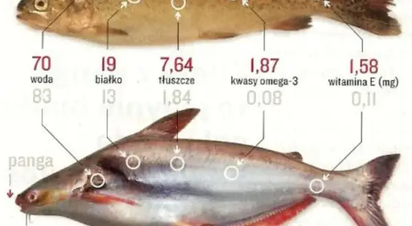 Sola czy panga? Sprawdź, czy ryba na Twoim talerzu jest zdrowa!