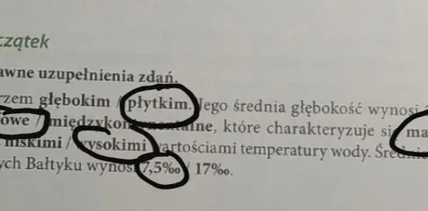 Czy Bałtyk jest płytki? Zaskakujące fakty o głębokości naszego morza