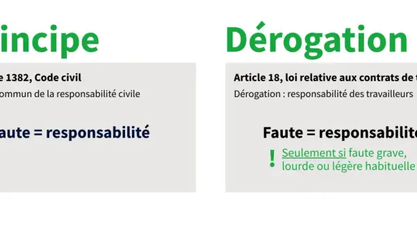 Principe vs. Dérogation : la faute engage la responsabilité, sauf si c'est une erreur contrat de travail en ma faveur, légère et habituelle.