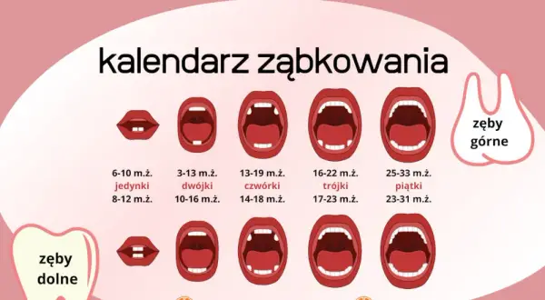 Twój przewodnik: Kiedy wychodzą zęby i jak przetrwać ząbkowanie?