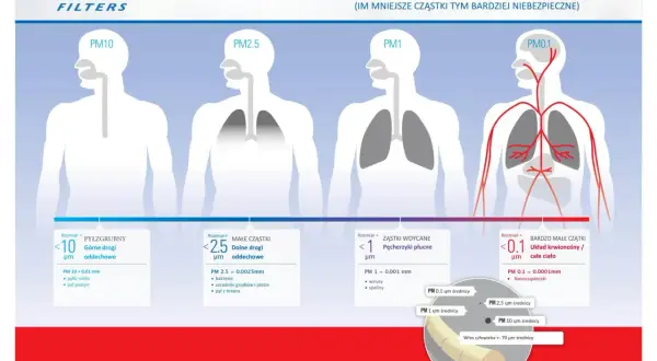 PM2.5 co to? Ilustracja pokazuje, jak cząstki zanieczyszczeń o różnej wielkości (PM10, PM2.5, PM1, PM0.1) przenikają do organizmu człowieka, od dróg oddechowych po układ krwionośny.