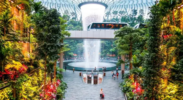 Im **Singapore Flughafen** erwartet Reisende eine üppige Oase mit einem beeindruckenden Wasserfall und einer Monorail, die durch tropische Vegetation fährt.
