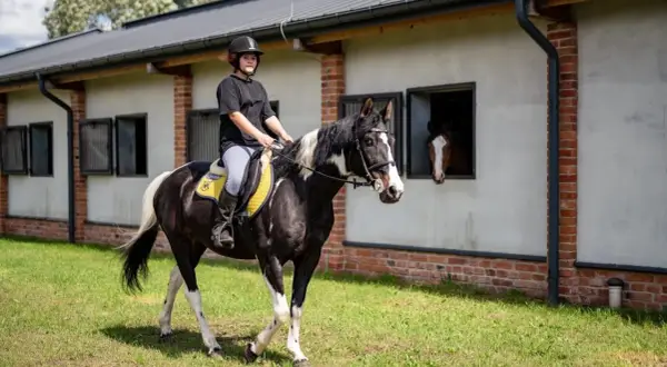 Młoda amazonka na karym koniu z białą grzywą przemierza trawiasty teren przed stajnią Equita Jeździecki Klub Sportowy w Świętochłowicach.