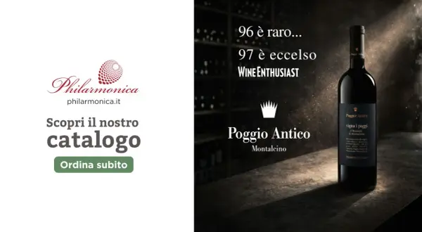 Bottiglia di vino Poggio Antico, un vino tipico di Verona, con etichetta "vigna i poggi". Scopri il catalogo Philarmonica.