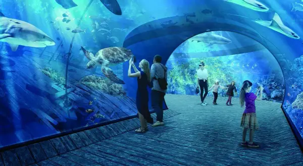 Oceanarium Kraków: Dlaczego nie ma dużego oceanarium w mieście?