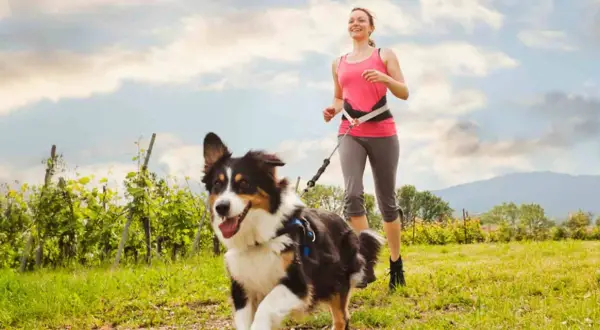 Una mujer corre con su perro en un campo verde. Es un ejemplo de cómo presentar un cachorro a un perro adulto, fomentando la socialización y el juego.