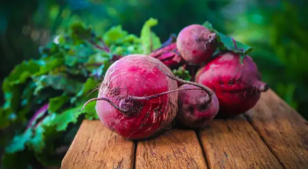 Fresh beets with leafy greens on a wooden surface. Wondering if dogs can eat beets? These vibrant roots are a healthy treat for pups!