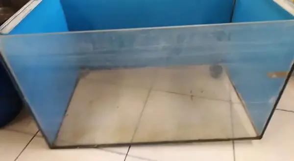 Jak skleić akwarium? Kompletny poradnik DIY i naprawa przecieków