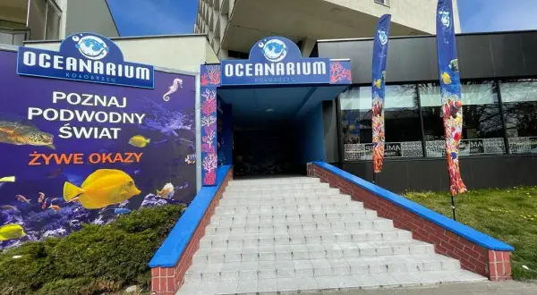 Ile kosztuje bilet do oceanarium w Kołobrzegu? Sprawdź ceny teraz