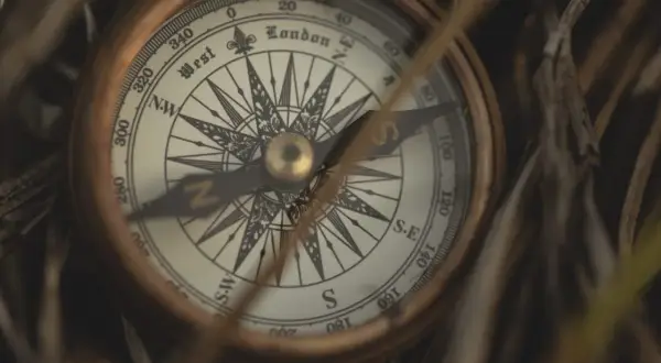 Bussola antica tra l'erba secca, uno strumento che ci fa pensare a chi ha inventato la bussola e alle grandi scoperte.