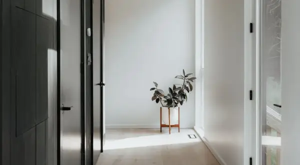 Un recibidor sin espejo, con puertas oscuras y una planta en maceta blanca sobre un soporte de madera. La luz del sol ilumina el suelo de madera clara.