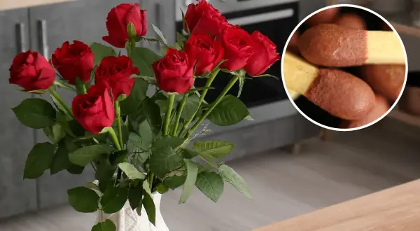 Piękne, czerwone róże w białym wazonie, a obok zapałki gotowe do rozpalenia ognia.