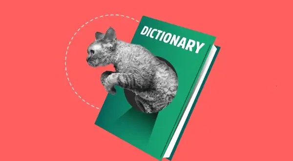 Un gato curioso emerge de un diccionario, explorando el mundo de los animales domésticos en inglés.