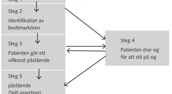Flödesschema visar steg för patientens självhävdelse, med fokus på dynamik mellan personer.