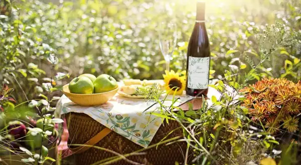 Piknik w słońcu: butelka wina, jabłka, ser i słonecznik. Czas na degustację domowego wina, które przeszło proces fermentacji.