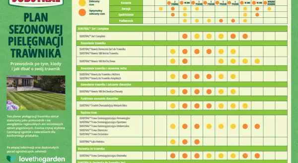 Trawnik marzeń: Kiedy i czym nawozić trawę? Kalendarz nawożenia