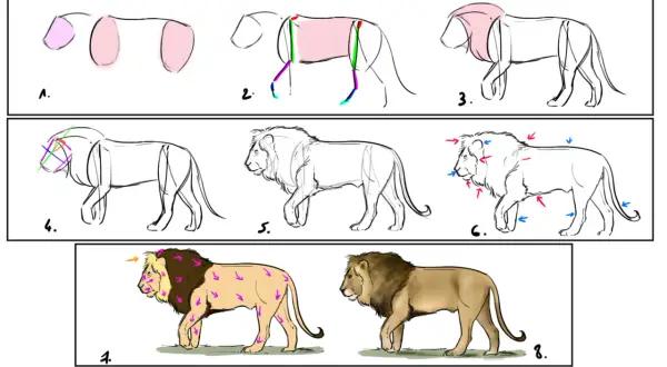 Secuencia de pasos para un dibujo de león, desde bocetos básicos hasta un león detallado.