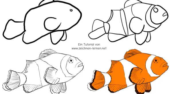 Tutorial de **peces para dibujar**: un pez payaso en cuatro etapas, desde un boceto simple hasta un dibujo a color.