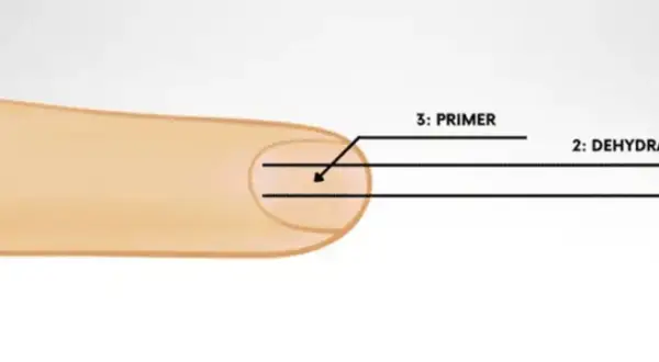 Schemat aplikacji produktów do paznokci: cleaner, dehydrator, primer.