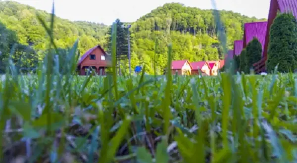 Bieszczady gdzie nocleg - najlepsze opcje zakwaterowania dla Ciebie