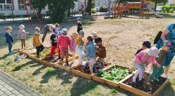 Leśna ścieżka sensoryczna: jak wspiera rozwój dzieci w naturze