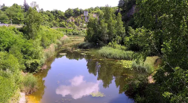 Malownicze jezioro szmaragdowe w Kielcach otoczone bujną zielenią, z odbijającymi się w wodzie chmurami.