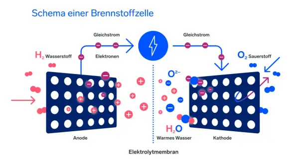 Schema einer Brennstoffzelle: Wasserstoff wird an der Anode in Elektronen und Protonen aufgespalten. Die Nachteile der Brennstoffzelle sind u.a. die Kosten.