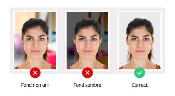Photo de permis de conduire : fond uni et éclairage correct pour une photo d'identité réussie.