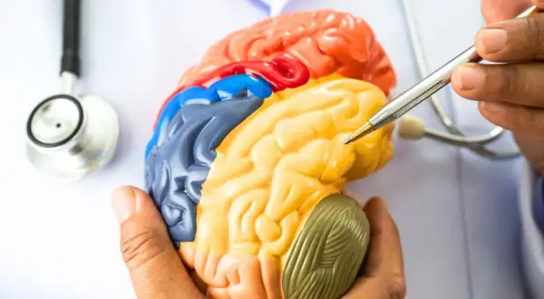 Rehabilitacja neurologiczna: Jak mózg leczy się sam?