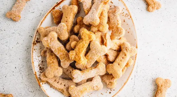 Leckere hundekekse mit kokosmehl, in Knochenform, auf einem Teller und verstreut.