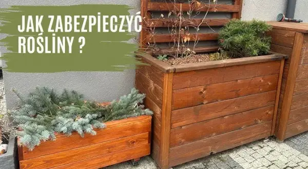 Jak zrobić termo donice, które ochronią rośliny przed zimnem